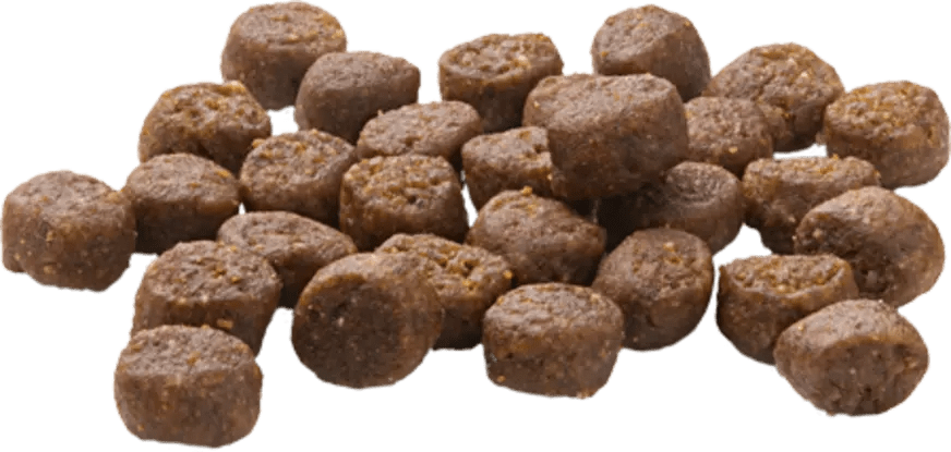 MERA All Cat Kitten - Mypets.pk