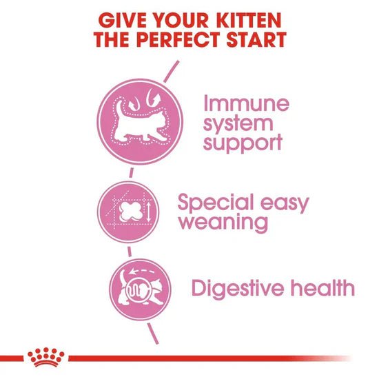 Royal Canin Mother & Baby cat Dry Cat Food | For Nursing Cats & Kittens - Mypets.pk