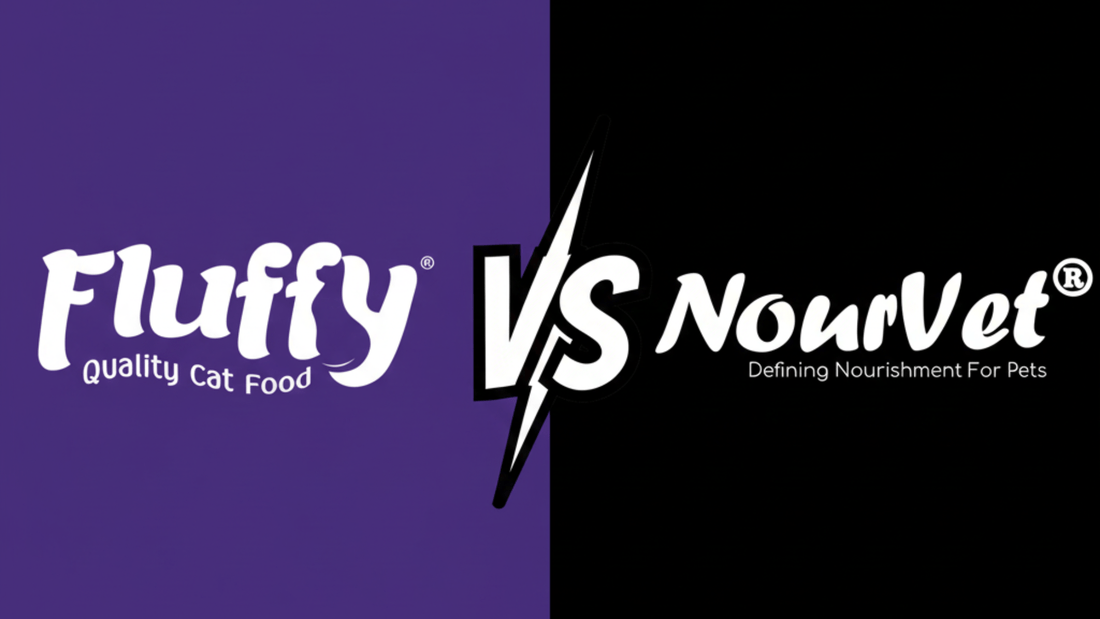 Nourvet vs Fluffy Cat Food: Which Cat Food is Best for Your Cat? - Mypets.pk