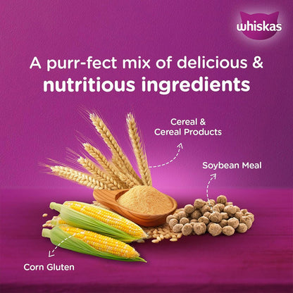 Whiskas Ocean Fish Dry Cat Food - All Breed Kitten (2 - 12 months) - Mypets.pk