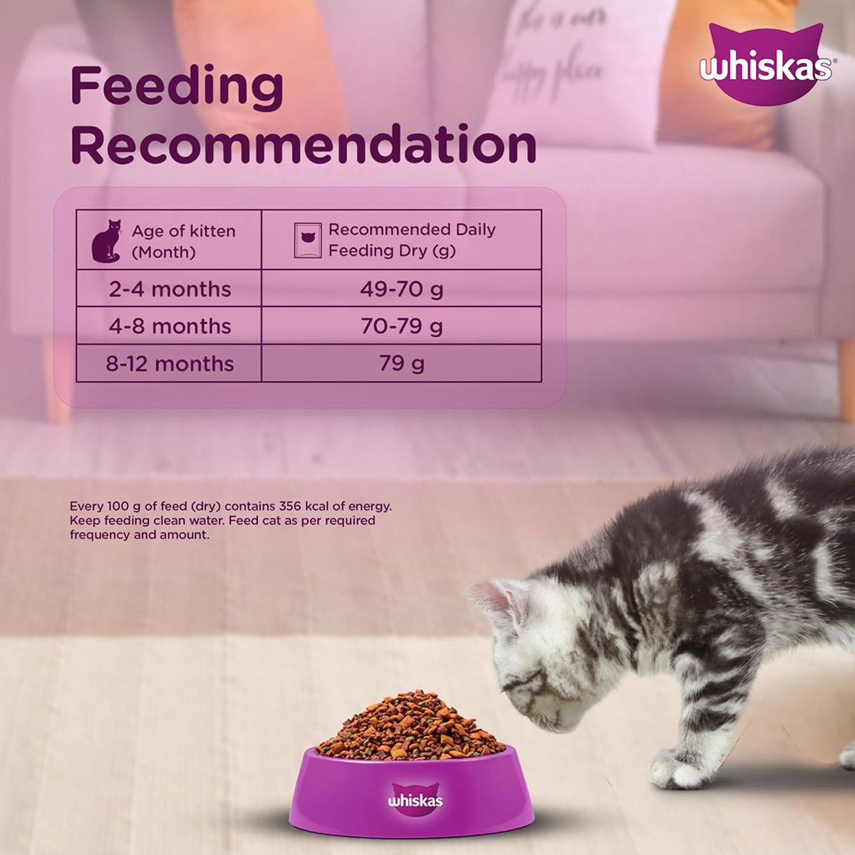 Whiskas Ocean Fish Dry Cat Food - All Breed Kitten (2 - 12 months) - Mypets.pk