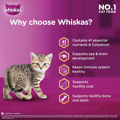 Whiskas Ocean Fish Dry Cat Food - All Breed Kitten (2 - 12 months) - Mypets.pk