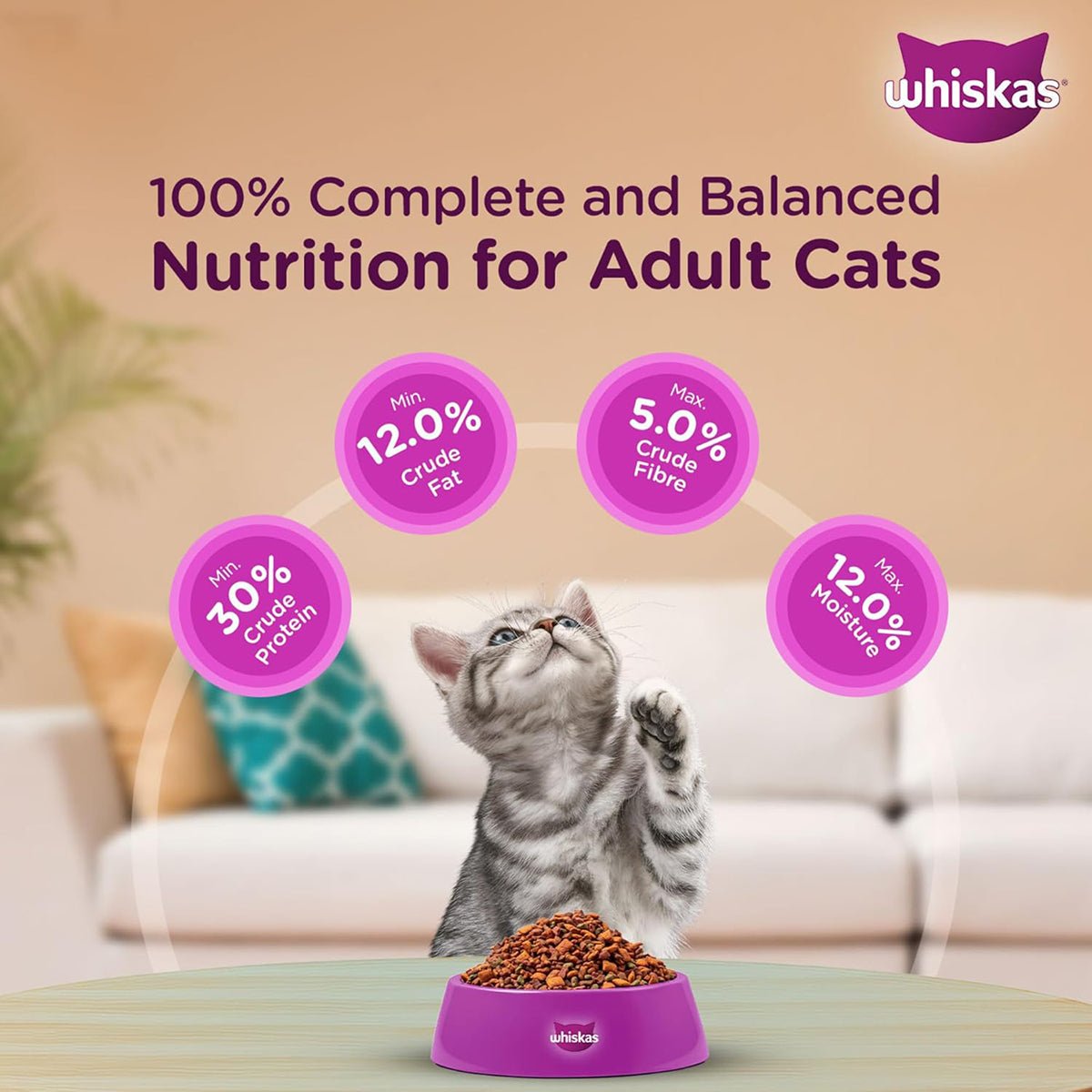 Whiskas Ocean Fish Dry Cat Food - All Breed Kitten (2 - 12 months) - Mypets.pk