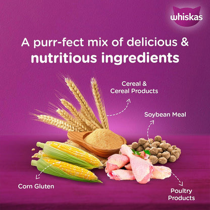 Whiskas Chicken Dry Cat Food - All Breed Adult (+1 year) - Mypets.pk