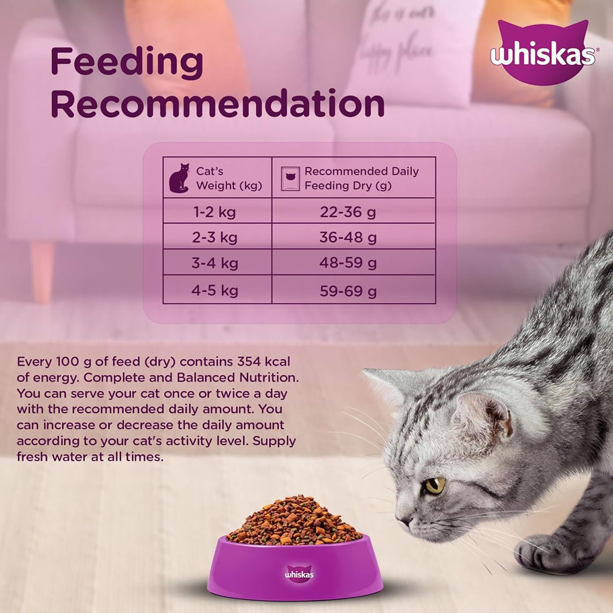 Whiskas Chicken Dry Cat Food - All Breed Adult (+1 year) - Mypets.pk