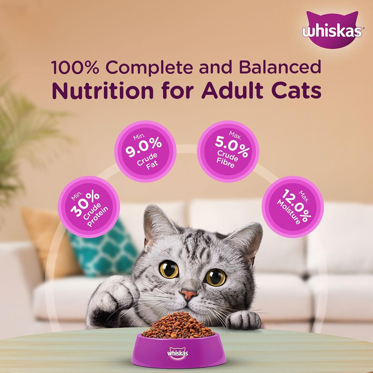 Whiskas Chicken Dry Cat Food - All Breed Adult (+1 year) - Mypets.pk