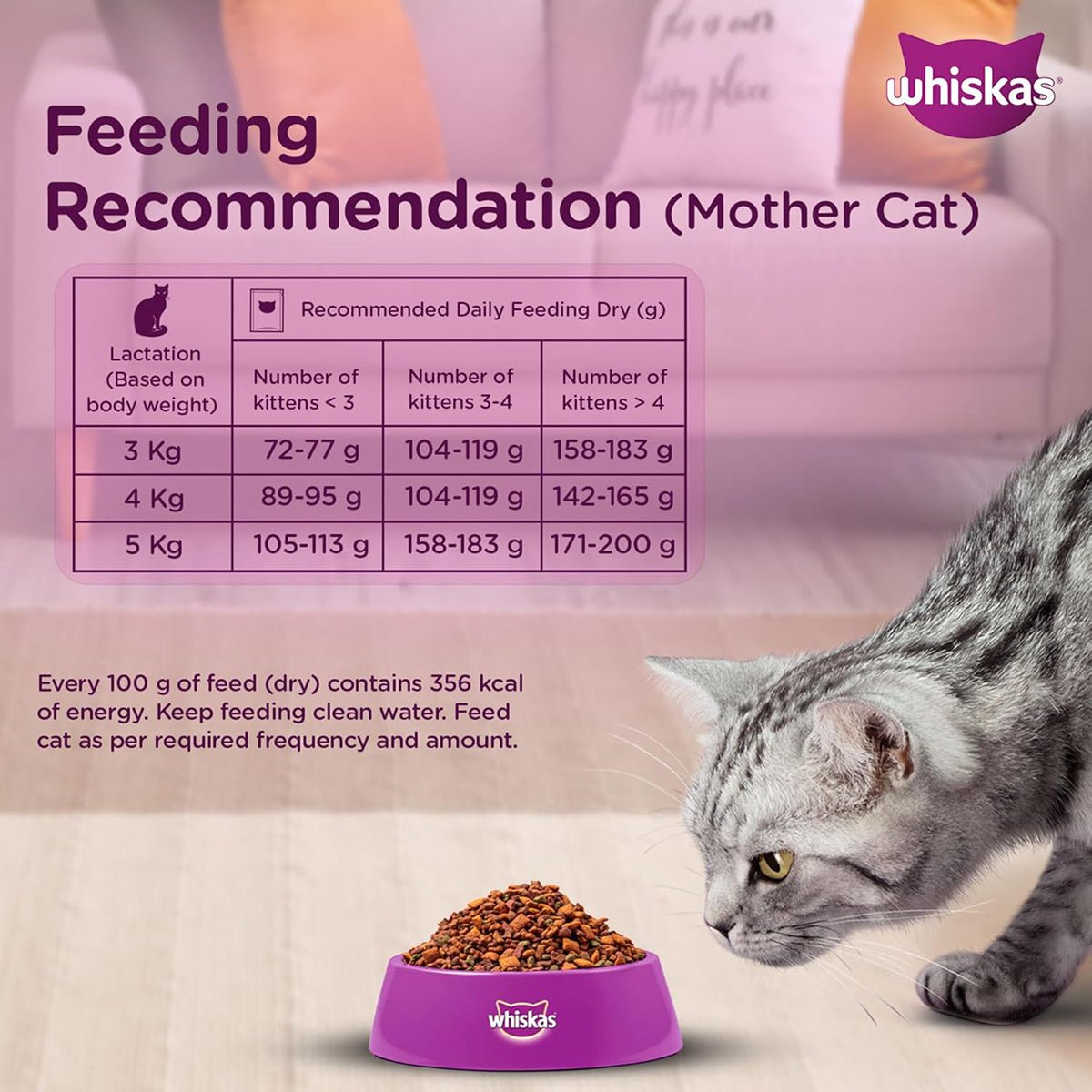 Whiskas Mackerel Dry Cat Food - All Breed Kitten (2 - 12 months) - Mypets.pk
