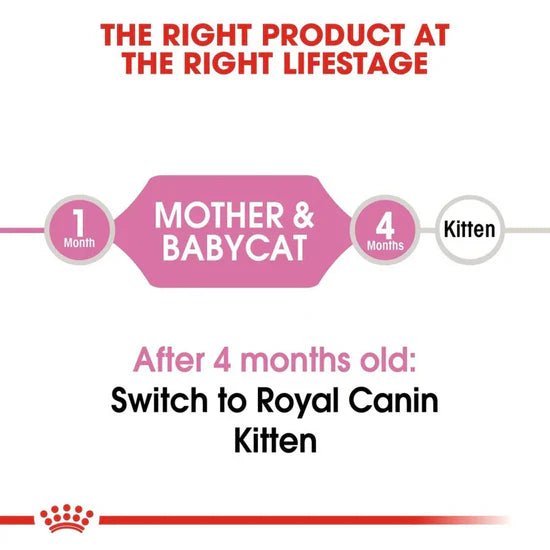 Royal Canin Mother & Baby cat Dry Cat Food | For Nursing Cats & Kittens - Mypets.pk