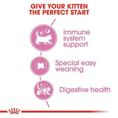 Royal Canin Mother & Baby cat Dry Cat Food | For Nursing Cats & Kittens - Mypets.pk
