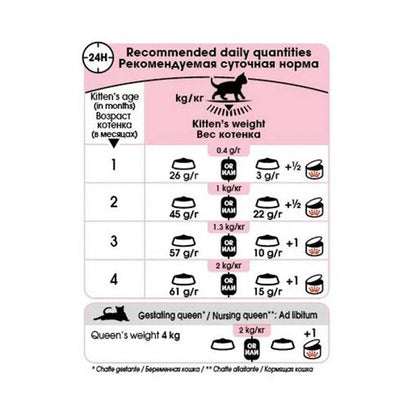 Royal Canin Mother & Baby cat Dry Cat Food | For Nursing Cats & Kittens - Mypets.pk