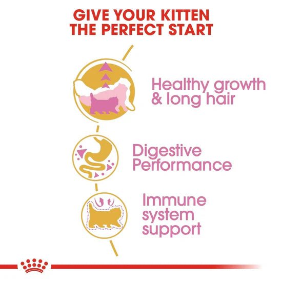 Royal Canin Persian Adult Dry Cat Food - Mypets.pk