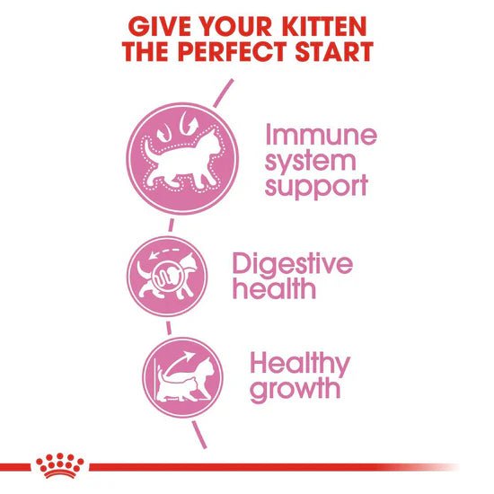 Royal Canin Second age Kitten Dry Cat Food - Mypets.pk